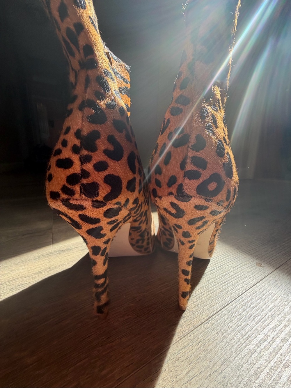 Steve Madden Tiger-Print Ankle Boots in Orange and Black - Picture 8 of 9